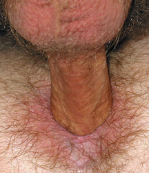 Hunter's Random Internet Picks 4 587e48c5c15a7.jpg