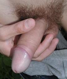 Hunter's Random Internet Picks 5 587e6e21ab016.jpg