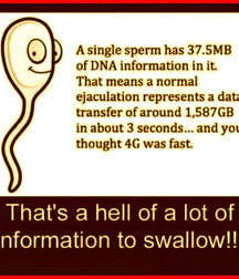 Hunter's Random Internet Picks of BIG Dicks 1 58829a75b0559.jpg