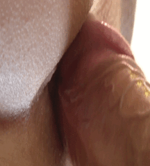 Hunter's Random Internet Picks 36 588795639a3e9.gif