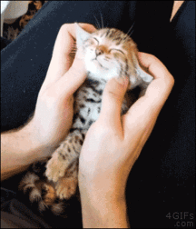 Hunter's Random Internet Picks 50 5888b619f12ef.gif