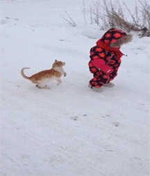 Hunter's Random Internet Picks 55 58890ce730109.gif