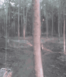 Hunter's Random Internet Picks 55 58890cf381d02.gif