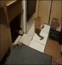 Hunter's Random Internet Picks 53 58890e90421f7.gif