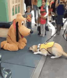 Hunter's Random Internet Picks 53 58890ea6f18b3.gif