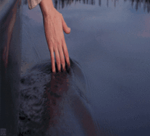 Hunter's Random Internet Picks 53 58890eb7ec8fc.gif