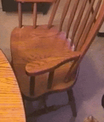 Hunter's Random Internet Picks 58 58893fa4556bc.gif