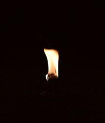 Hunter's Random Internet Picks 72 58895e928ffd8.gif