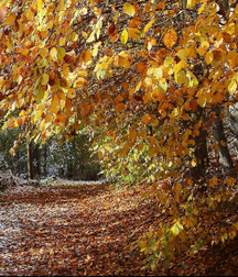 Hunter's Random Internet Picks 70 58895fc85fe0f.jpg