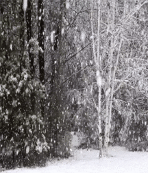 Hunter's Random Internet Picks 69 588960ac8eb44.gif