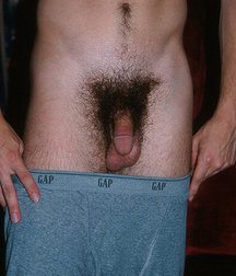 Hunter's Random Internet Picks 82 588a5b064aba9.jpg