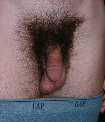 Hunter's Random Internet Picks 82 588a5b07098cb.jpg