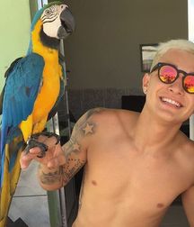blonde brazilian 58f816f7138dd.jpg