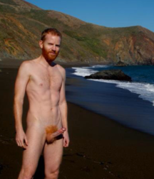 Ginger Snaps! 588a7872b1c99.png