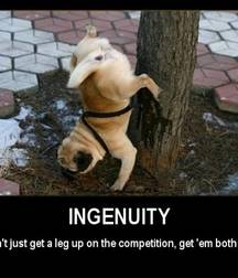 Motivational Posters 589a32faa1181.jpg