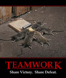 Motivational Posters 589a3316a5f0f.jpg