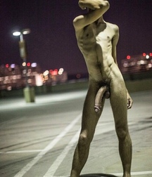 Twinks8 591c8670b5cb8.jpg