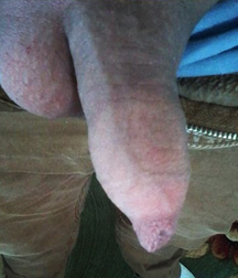 my photo album 59e3e0e4a96a1.jpg
