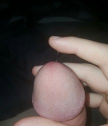 More Cut Cock 5b8bd369e119d.jpg