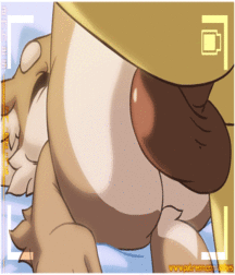 Furry Gifs 592083af3f6fd.gif