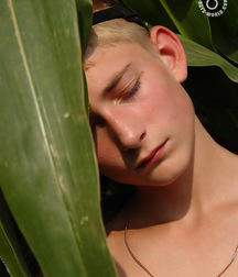 Twink in the field 58a8e4926eb7e.jpg
