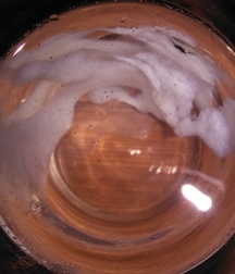 Von allen etwas 58bdaa9a32c82.jpg