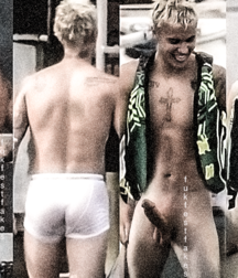 Biber real&fakes 2 5957549c29f8b.png