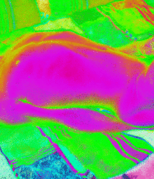 Brad's Art Gellery  5bc27e7d069e6.gif