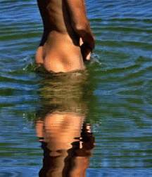 20 Gif's  5d5a752fc3d28.gif