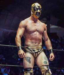 Hot Wrestlers  6006106c0671d.jpg