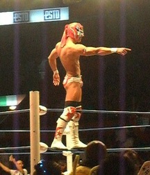 Hot Wrestlers  600610d35536c.jpg