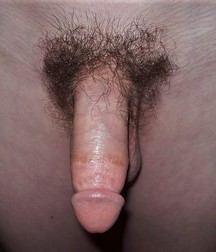 twinks their hard cocks 58ec86c905e79.jpg