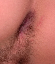 Ferdy 58d4c0bc73476.jpg