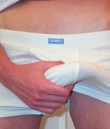Bulges-2 59141b228f3f1.jpg