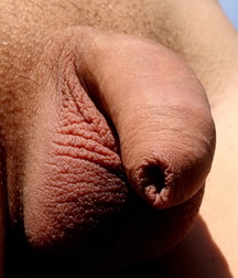 Softies & Stiffy's Twink Outdoors Boys Porn 6301eac1dad09.jpg