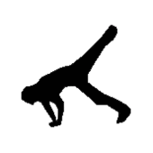 Dance For Fun 58e05ffbe5a8f.gif