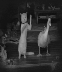 Dance For Fun 58e060064f296.gif