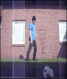 Dance For Fun 58e0602187865.gif