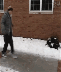 Dance For Fun 58e0604d328b4.gif