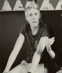 Niall Crush  58e692d3e43d3.gif