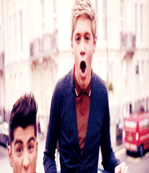 Niall Crush  58e6931b219bd.gif