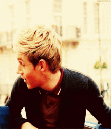 Niall Crush  58e6931eb8b9e.gif