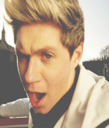 Niall Crush  58e6932e6a208.gif