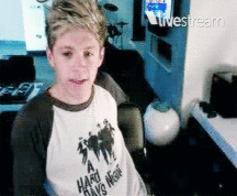 Niall Crush  58e6937470910.gif