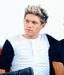 Niall Crush  58e6938f6806a.gif