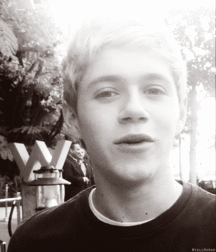Niall Crush  58e6939952d77.gif