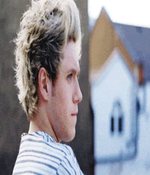 Niall Crush  58e693b5d6395.gif