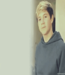 Niall Crush  58e693eded244.gif