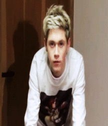 Niall Crush  58e6941c1a950.gif