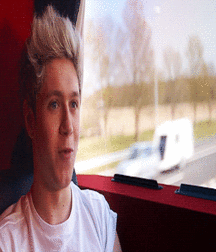 Niall Crush  58e69421639ce.gif